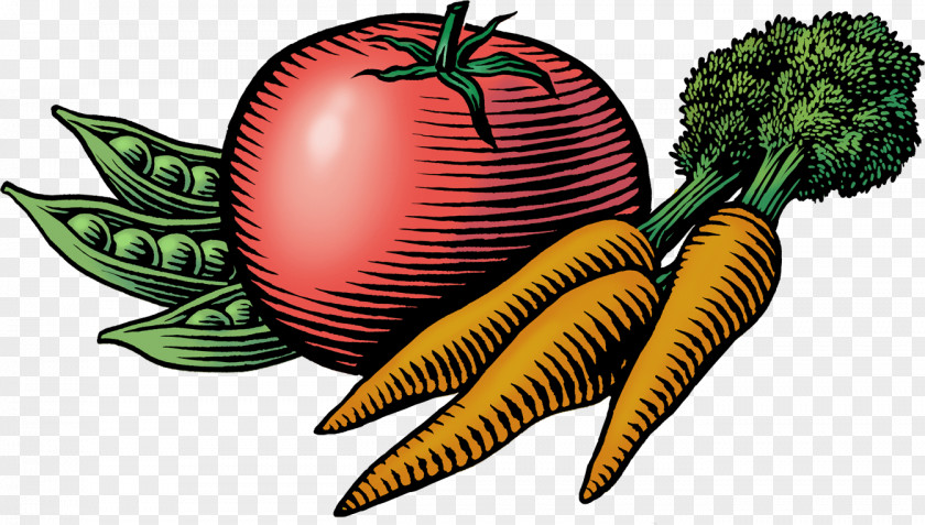 Carrot Face Clip Art Farmers' Market Vegetable Agriculturist Openclipart PNG