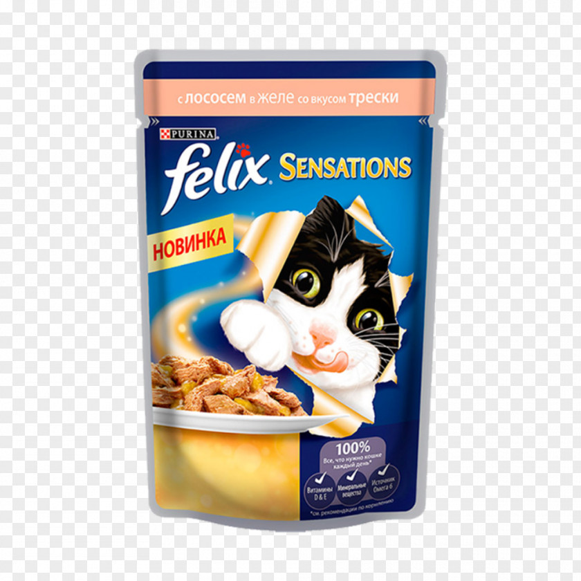 Cat Food Kitten Gelatin Dessert PNG