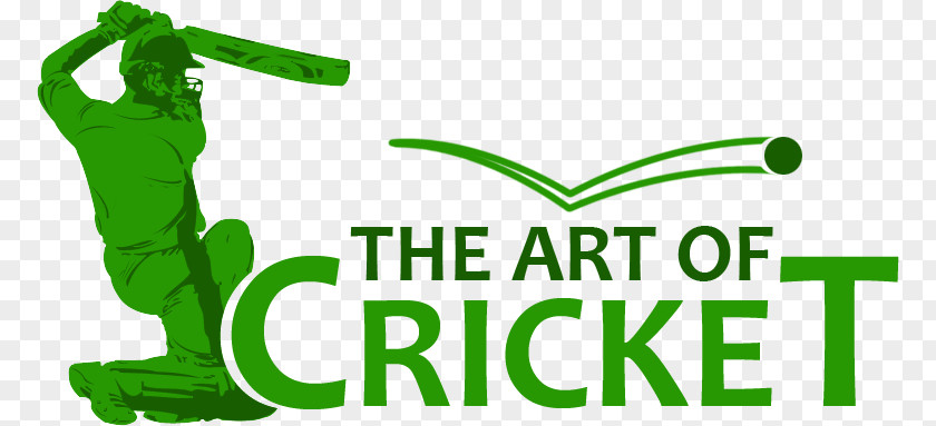 Cricket Players Pakistan National Team India Logo Australia PNG