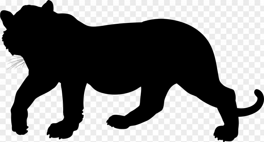 Lion Black Panther Giraffe Horse Vector Graphics PNG