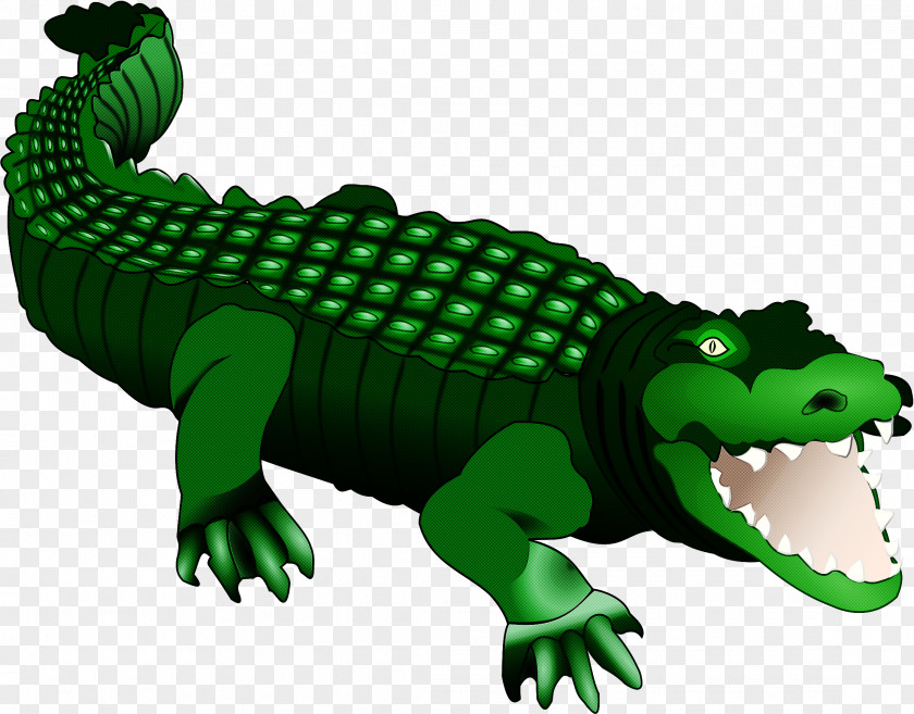 Reptile Crocodilia Crocodile Green Alligator PNG