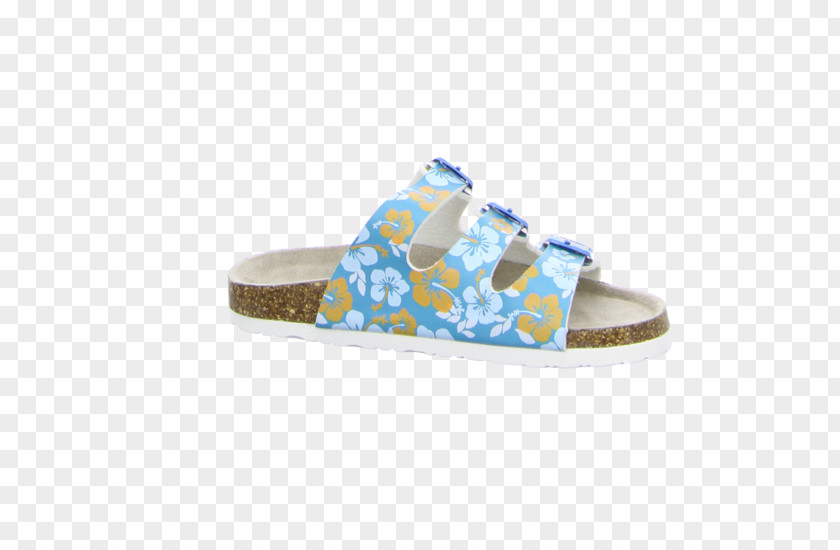 Sandal Shoe Walking PNG