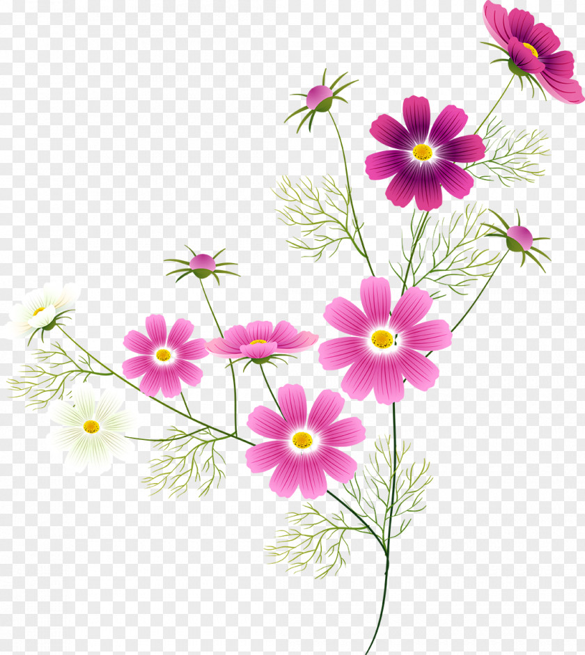 Flower Clip Art Image Openclipart PNG
