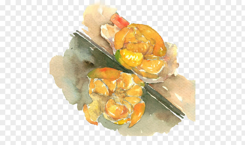 Peeling Off Two Orange Watercolour Paintings Juice Mandarin PNG