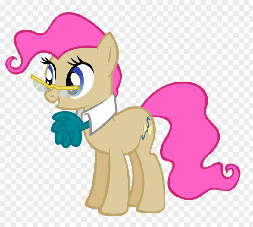 Pony Derpy Hooves Twilight Sparkle Rarity Rainbow Dash PNG