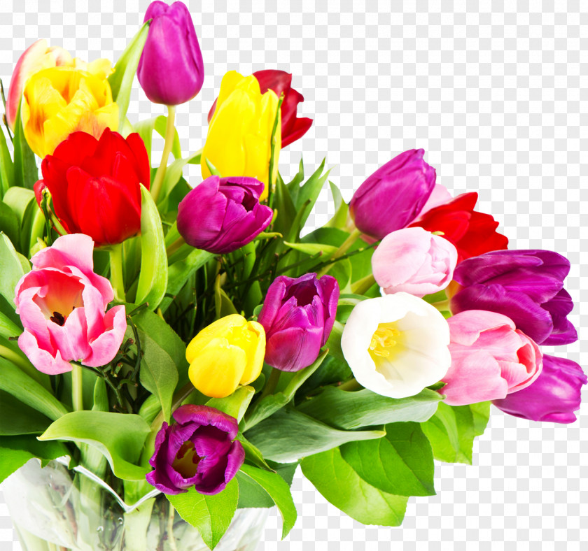 8th March Flower Bouquet Desktop Wallpaper Tulip White PNG