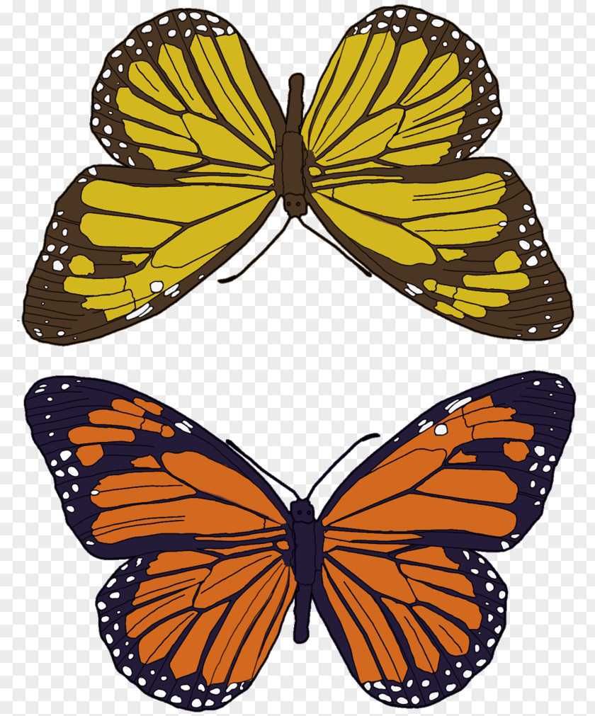 Butterfly Pattern Monarch Insect Nymphalidae Pollinator PNG
