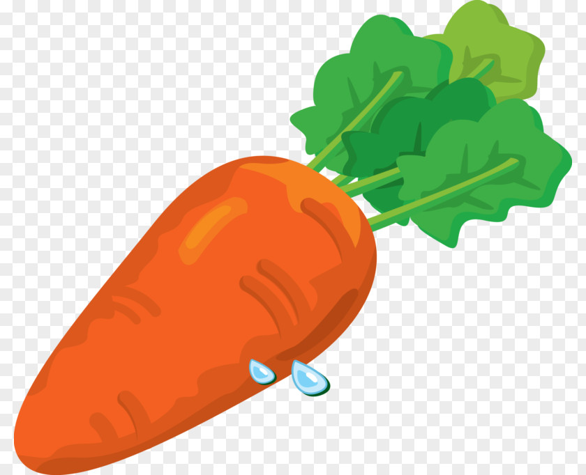 Carrots Carrot Vegetable Desktop Wallpaper Clip Art PNG
