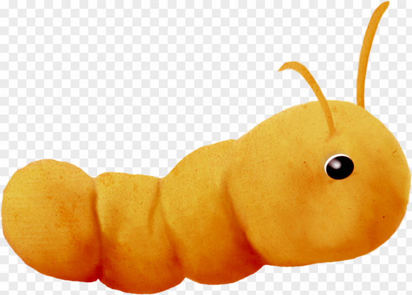 Cartoon Caterpillar Inc. Insect PNG