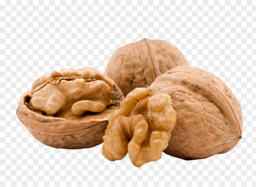 Dry Walnuts Thiamine Food Vitamin Nuts PNG