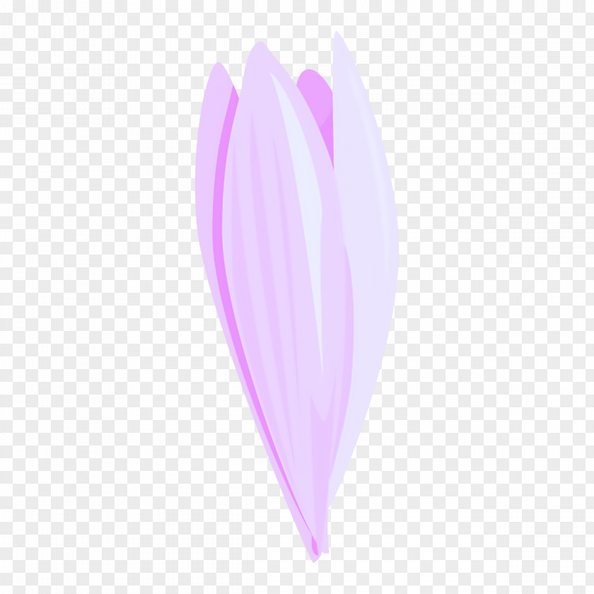 Flower Plant Feather PNG