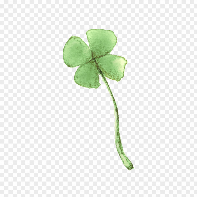 Four Leaf Clover Petal Plant Stem Flower PNG