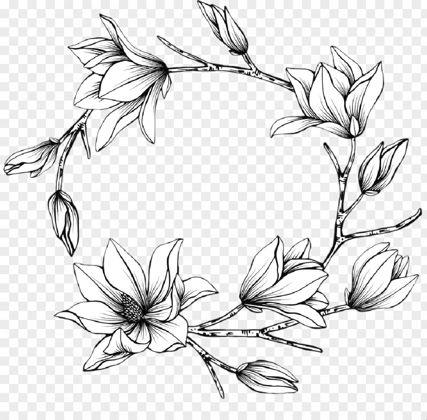 Herbaceous Plant Wildflower Black And White Flower PNG