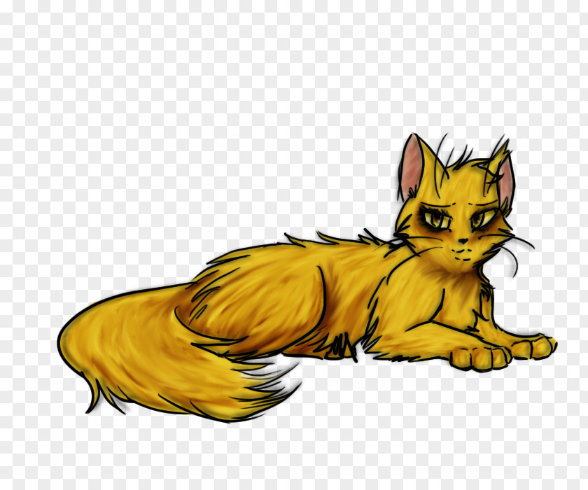 Kitten Whiskers Tabby Cat Red Fox PNG