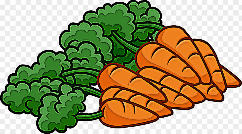 Leaf Vegetable Plant Clip Art PNG