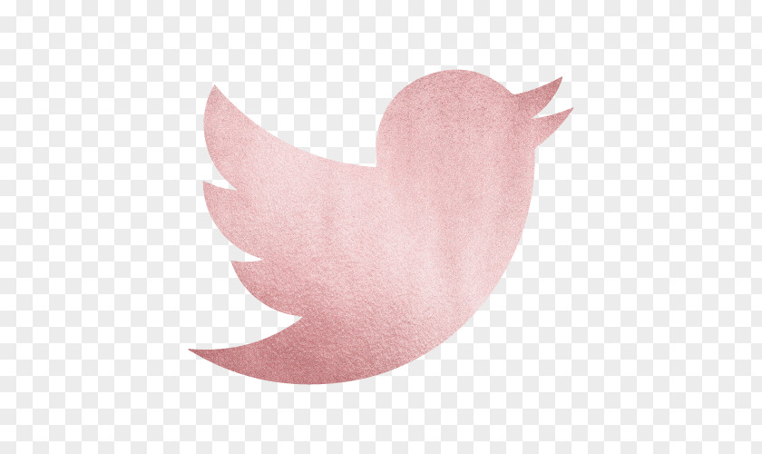 Twitter Pink Sparkles Clip Art Logo Social Media LinkedIn PNG