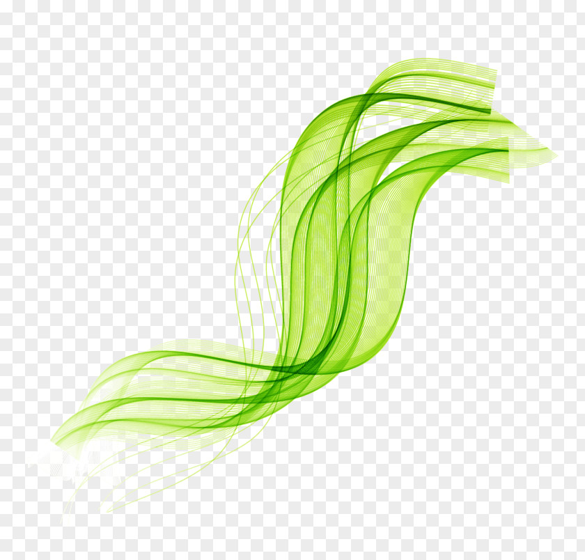 Verde Frondoso Vector Graphics Euclidean Royalty-free Image Illustration PNG