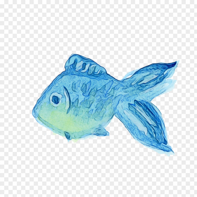 Fish Turquoise Animal Figure PNG