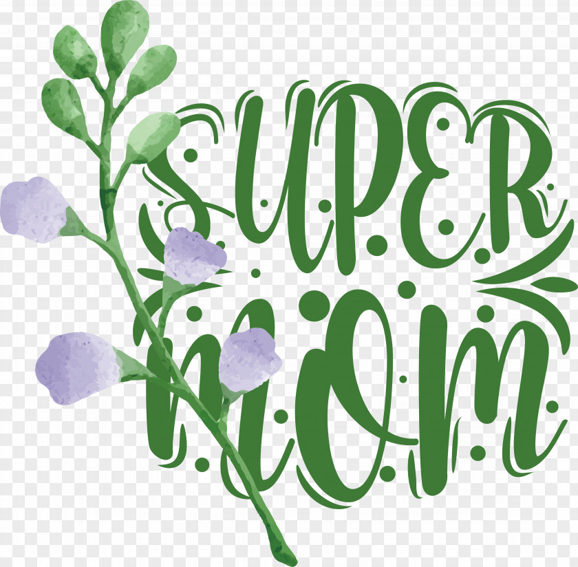 Floral Design PNG