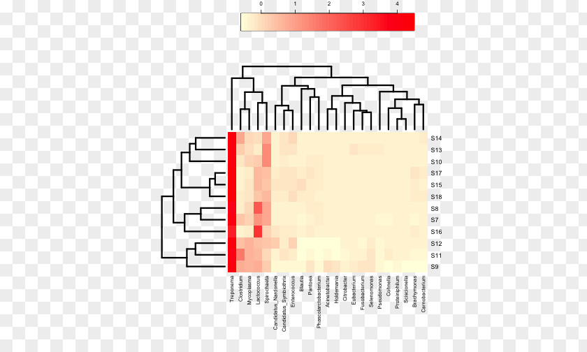 Heat Map Microbiota Cluster Analysis Plot Dendrogram PNG
