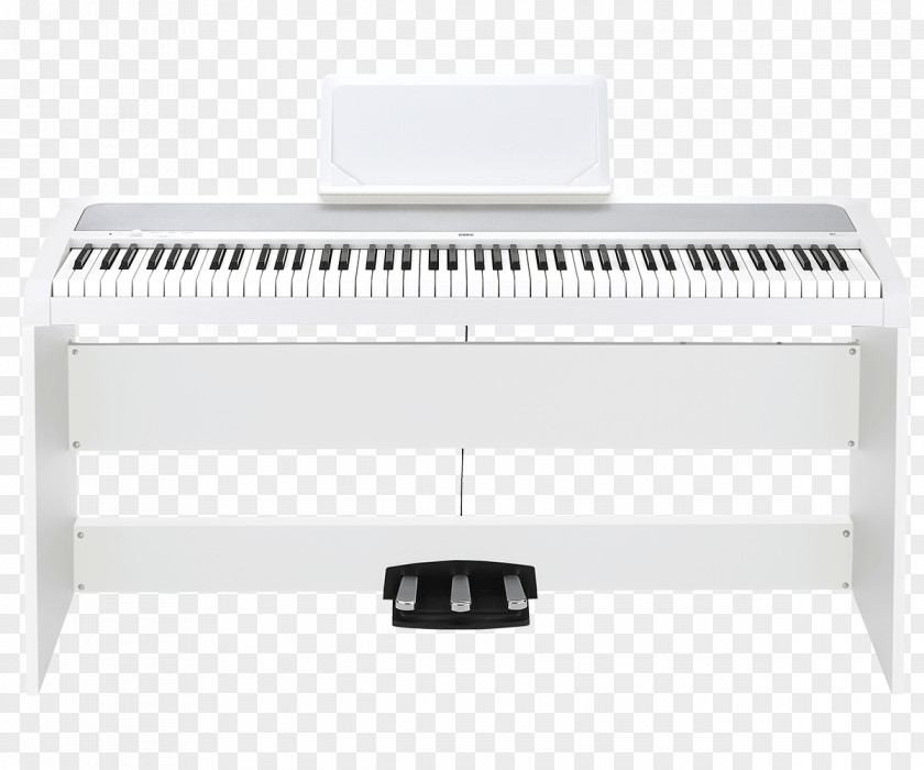 Keyboard KORG B1SP Digital Piano Musical Instruments PNG