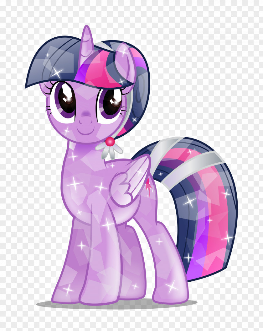 Sparkle Twilight Pony Rarity Pinkie Pie Rainbow Dash PNG