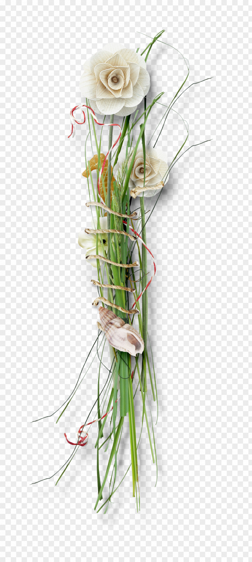 Starfish Grass Flowers Floral Design Flower PNG