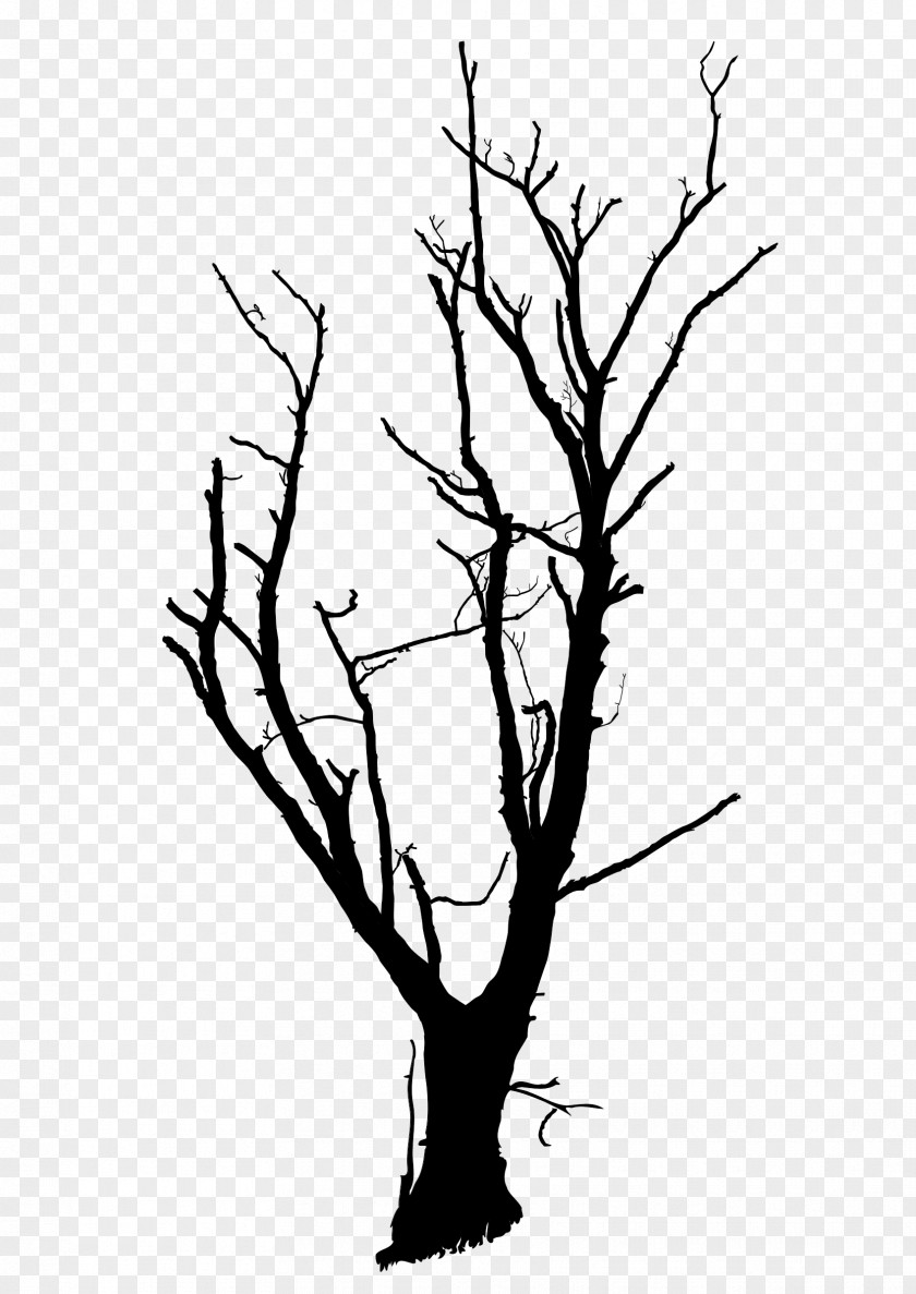 Tree Drawing Clip Art PNG