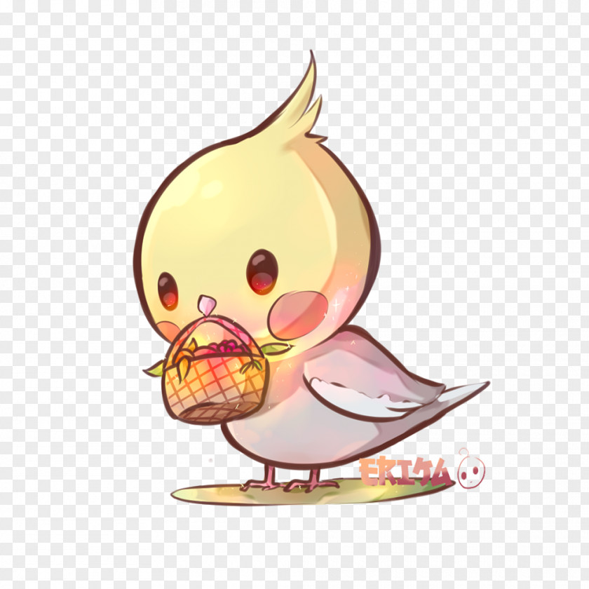 Bird Cockatiel Cockatoo Drawing Art PNG