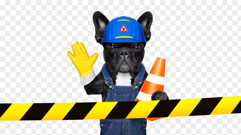 Creative Puppy Anthropomorphic Image Design Dog Stock Photography Royalty-free Architectural Engineering Illustration PNG
