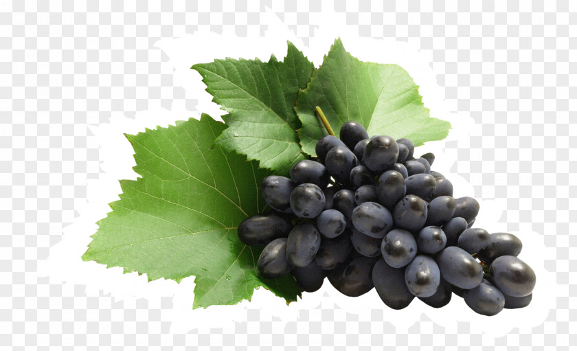 Grape Zante Currant Common Vine Juice PNG