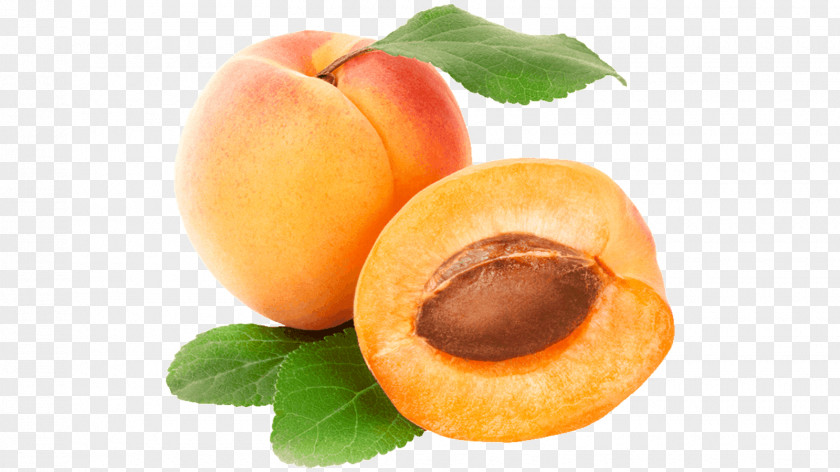 Apricot Food Peach Fruit Clip Art PNG