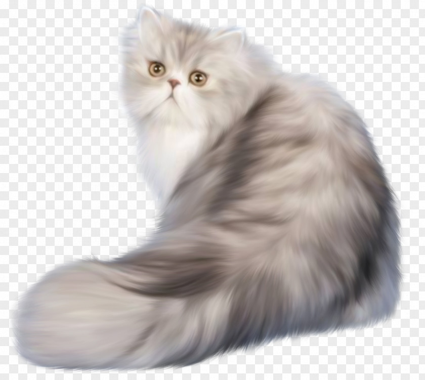 Cats Cat Kitten Animation Clip Art PNG