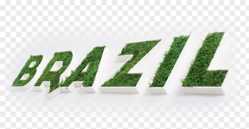Design Logo Product Brand Green Font PNG