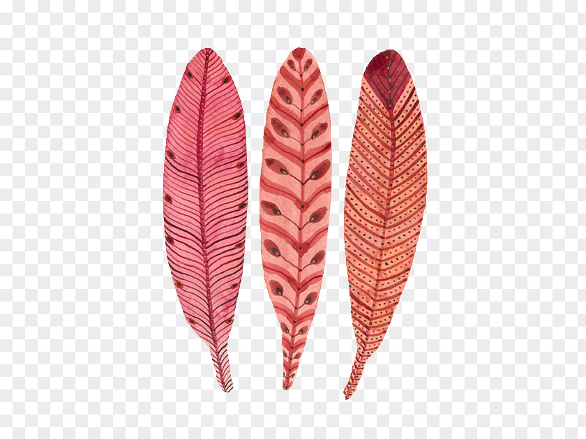 Feather Watercolor Painting Drawing PNG