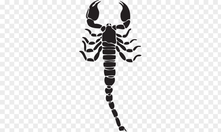 Arthropod Skeleton The Flash Logo PNG