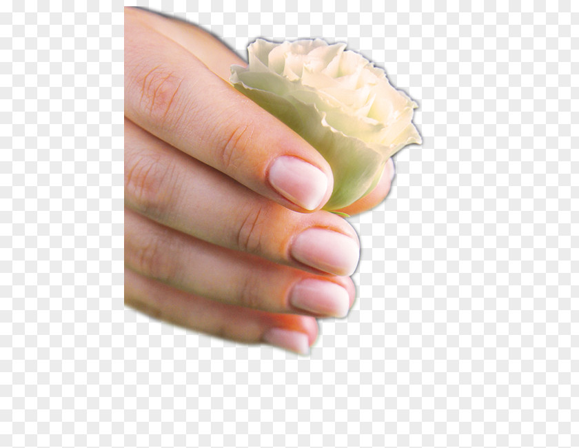 Baby Boomers Nail Hand Model PNG