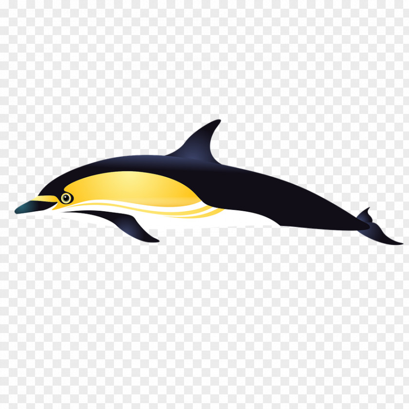 Black Dolphin Cartoon Short-beaked Common Tucuxi Porpoise Bottlenose PNG