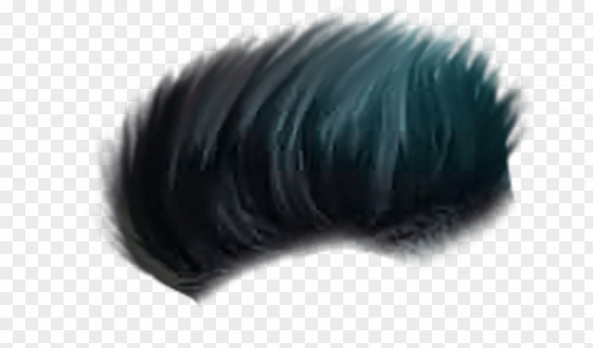 Commonly Used Hair Editing PNG