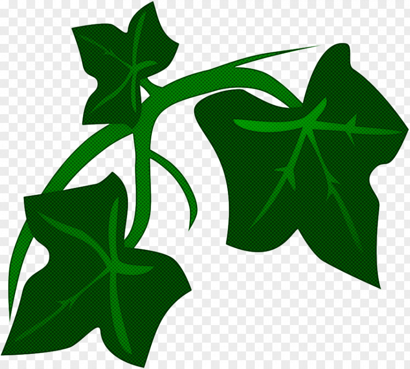 Leaf Plant Stem Flower Tree Symbol PNG