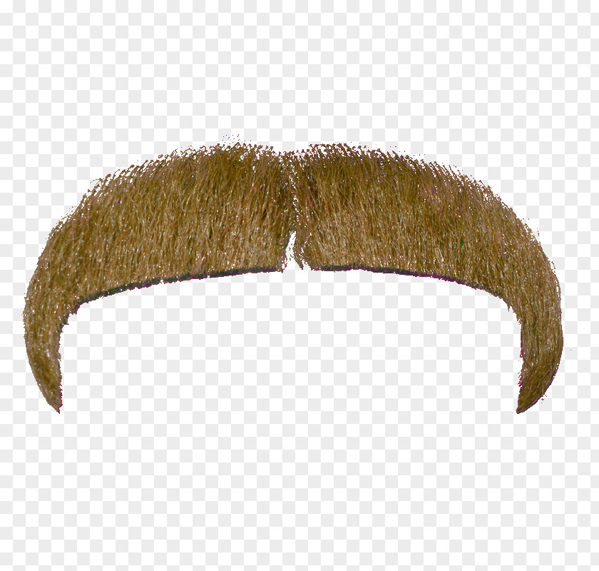 Moustache Beard PNG