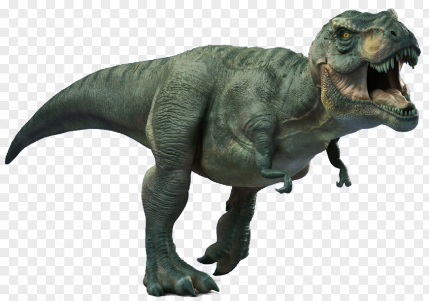 T-rex Tyrannosaurus Late Cretaceous Carnotaurus Carnivores: Dinosaur Hunter PNG