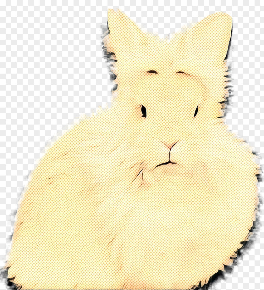 Whiskers Kitten Cat Paw Fur PNG