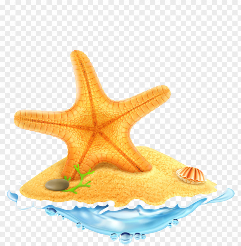 Yellow Starfish FIG. Royalty-free Clip Art PNG