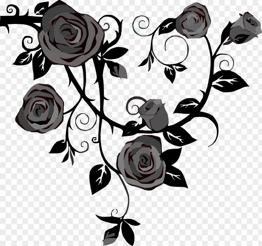 Black Rose Vine Drawing Thorns, Spines, And Prickles Clip Art PNG