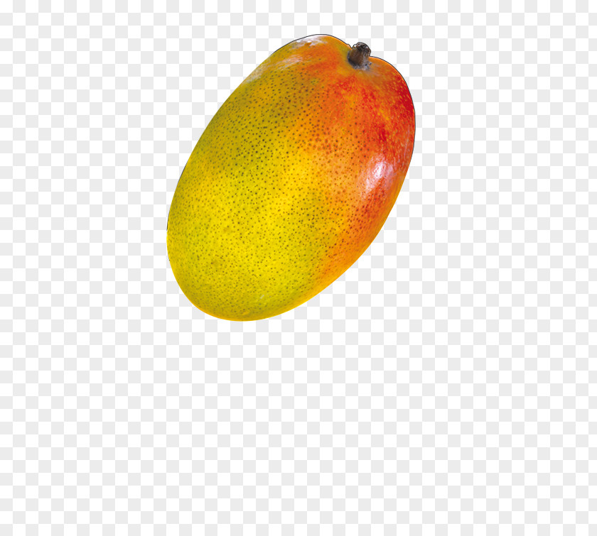 Mango Alphonso PNG