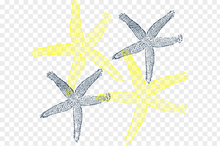 Starfish Wedding Clip Art PNG
