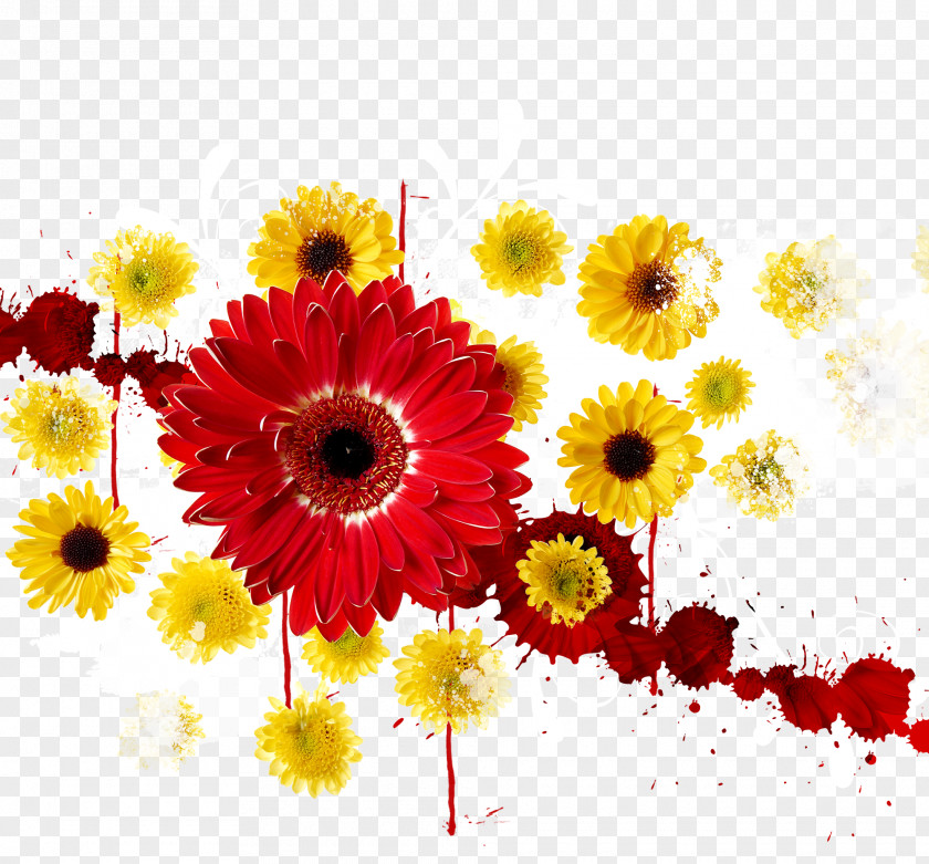Chrysanthemum Decoration Graphic Design Image Illustration Photography PNG
