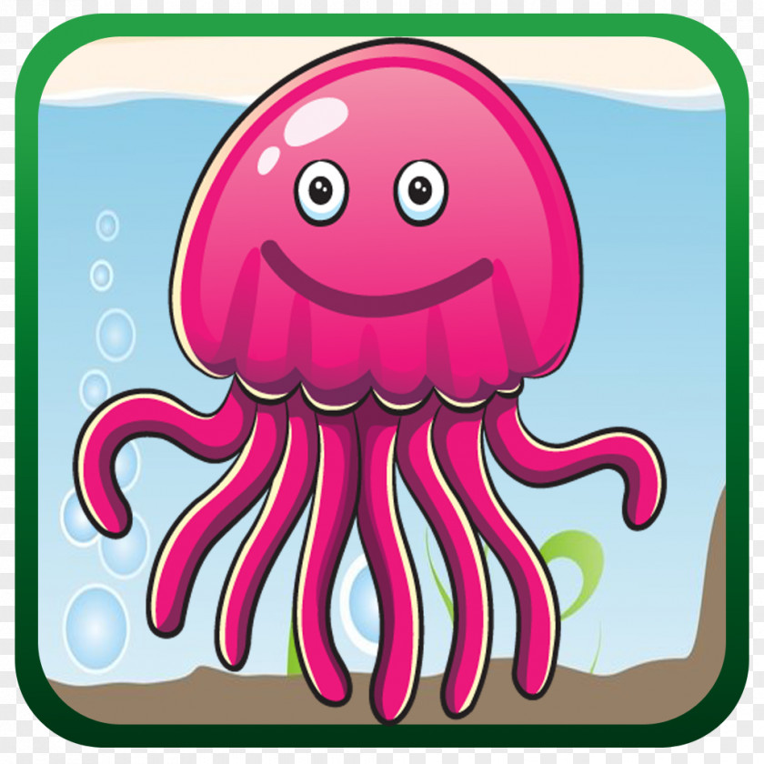 Jellyfish Octopus The Pediatric Place Cephalopod Organism PNG