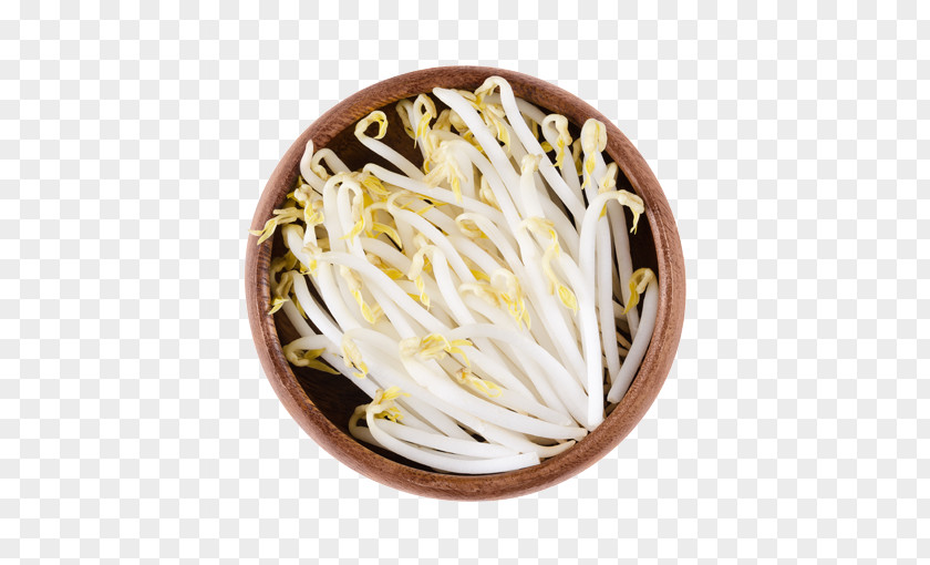 Salad Mung Bean Adzuki Sprout Sprouting Ingredient PNG